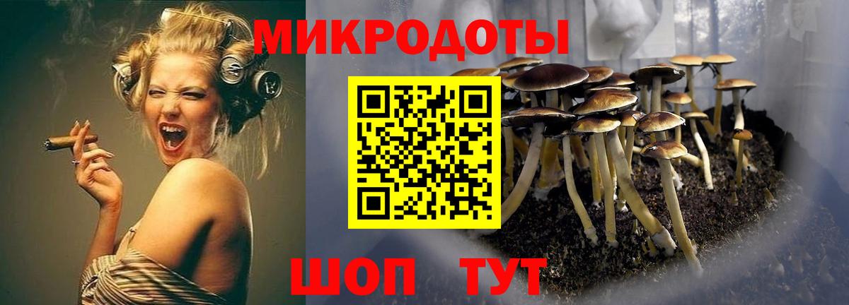 Северобайкальск  Галлюциногенные грибы Psilocybe  Вход с VPN 
